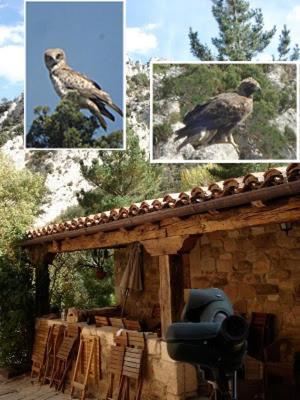 Posada Molino Del Canto Barriolacuesta ภายนอก รูปภาพ